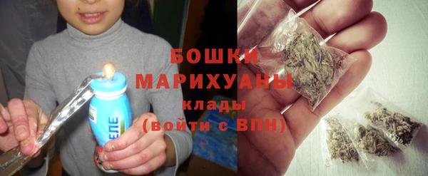мдпв Верхний Тагил