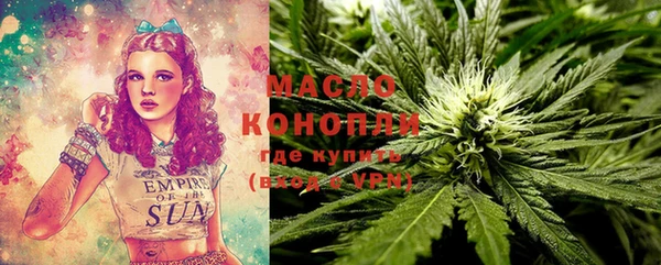 мдпв Верхний Тагил