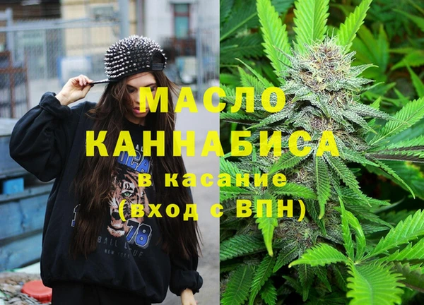 мдпв Верхний Тагил