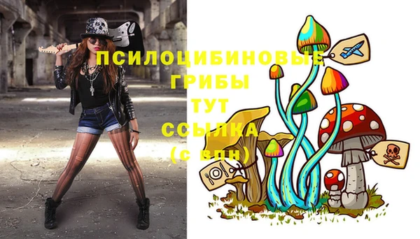 крисы Верея