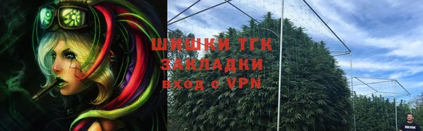 крисы Верея