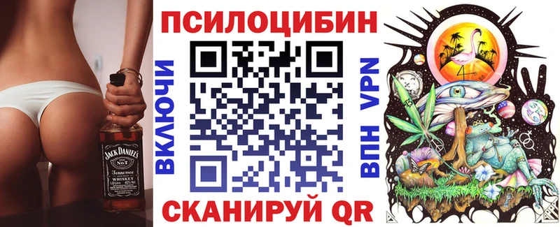 Галлюциногенные грибы Psilocybine cubensis  Купить закладки  Асино 