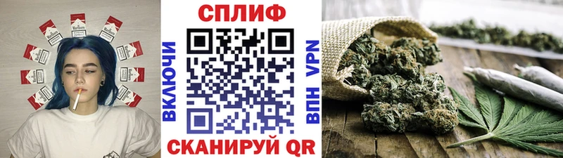 Купить Асино Марихуана конопля